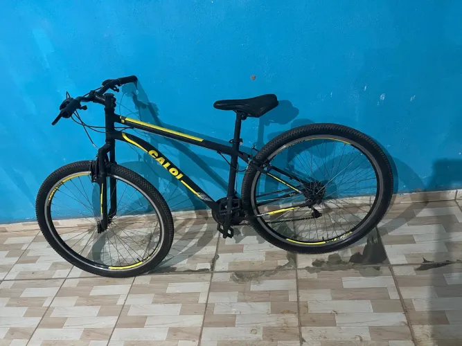 Bicicleta