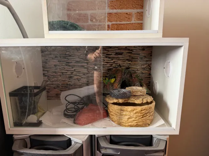 Terrario Pet