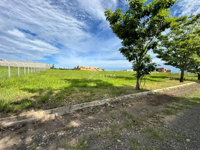 Venda - Terrenos - - - SP