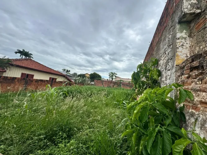 Terreno para Venda no bairro Jardim Paulista, localizado na cidade de Presidente