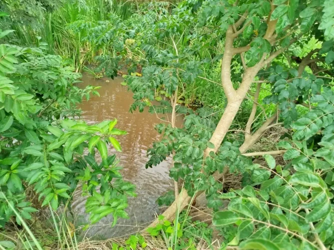 Seu paraiso a 15 minutos de Sete Lagoas
