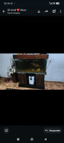 Aquário 200 litros