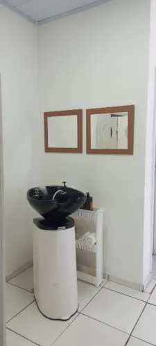 Lavatório de cabelo portátil