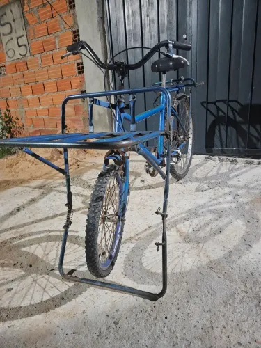 Bicicleta cargueira