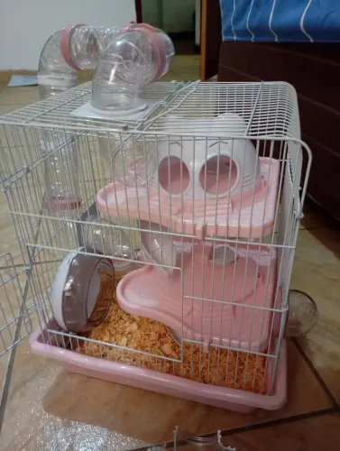 Gaiola para hamster