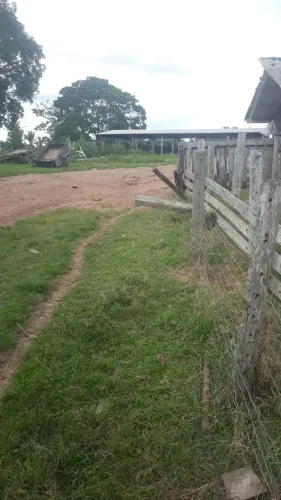 Vende-se, Fazenda no Estado do Pará