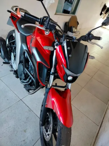 FZ 250 CONSERVADISSIMA