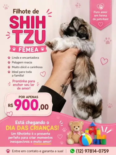 Shituz