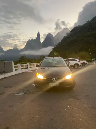 Peugeot 206 Sensation 1.4 Flex 8V 3P 2008
