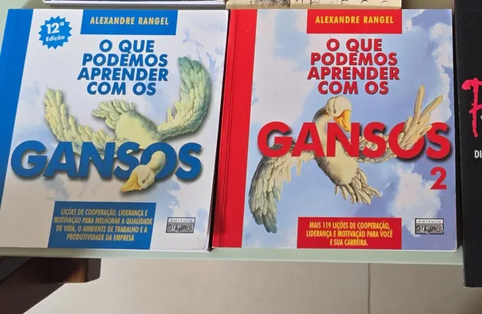 2 livros o que podemos aprender com os gansos 1 e 2