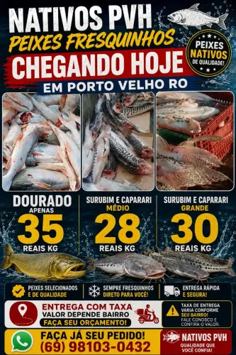 Nativos PVH PEIXES FRESQUINHOS DOURADO, FILHOTES , SURUBIM E CAPARARI