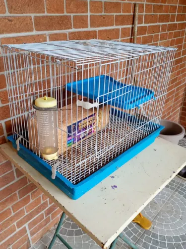 Gaiola para Lebre