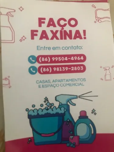 Faxina
