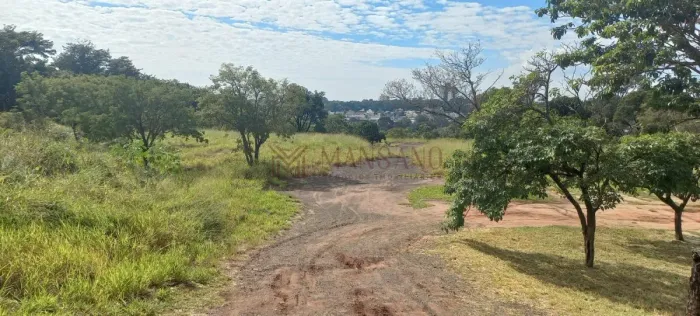Terreno na Av. Marginal da Rod. Mal. Rondon, para venda com 24000 m² em Jardim Nicéia, Bau