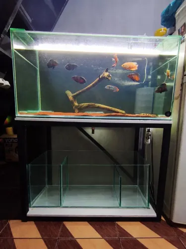 Aquário 432lts com base e sump!!!