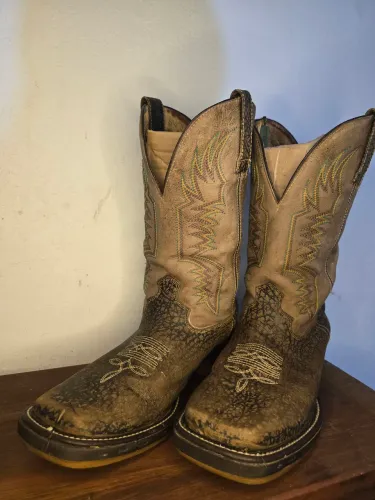 Bota Texana 44