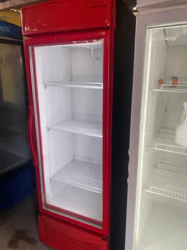 Freezer Expositor