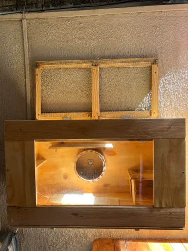 Terrário Hamster