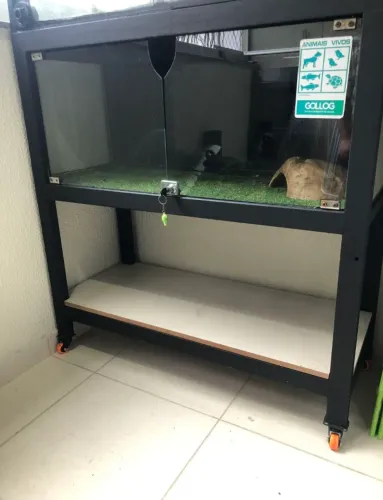 Terrário 1,00 x 040 x 0,50