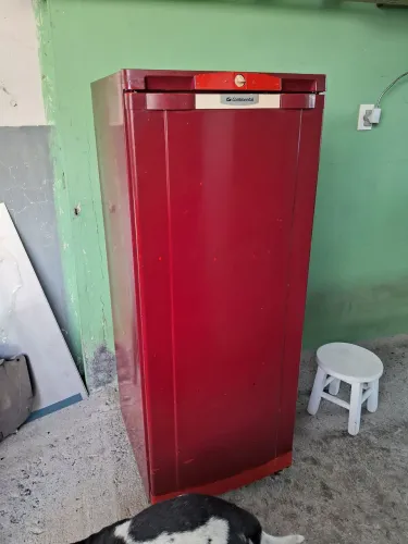 Geladeira Electrolux 
