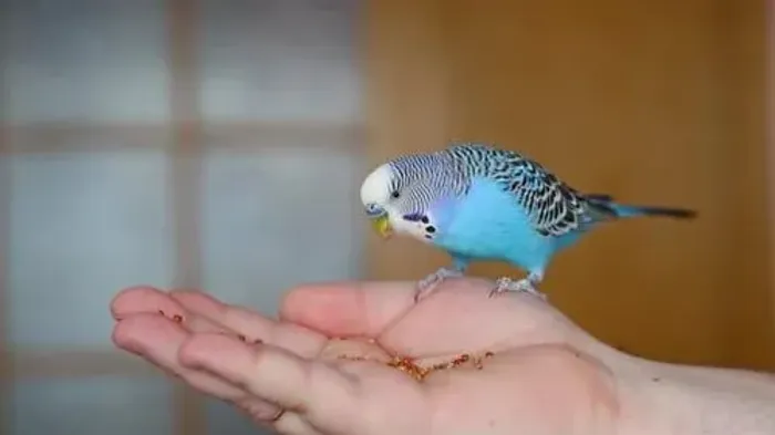 ??,?,???.