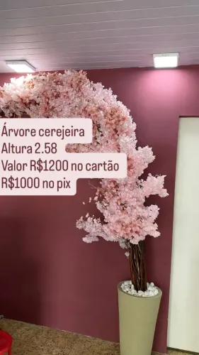 Árvore de cerejeira