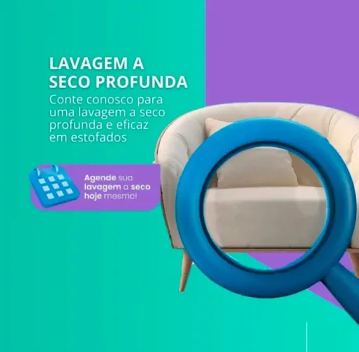 Lavagem a seco - feita por especialista