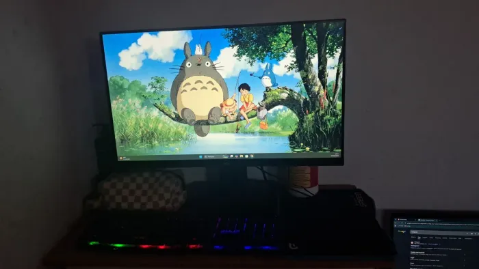 Monitor, 24 polegadas hp