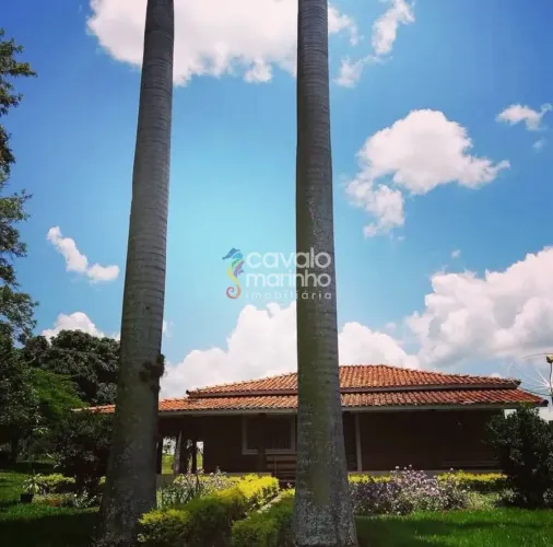 Sítio à venda com 3 casa, piscina, 13 alqueires - Batatais - SP.