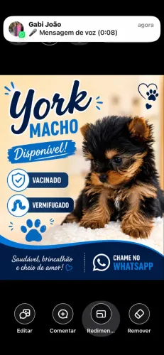 York
