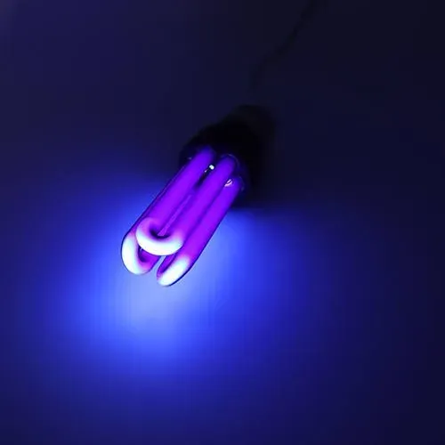 Lâmpada neon