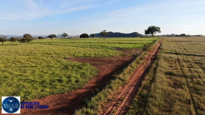 Fazenda à Venda em Doverlândia GO | 126 Alqueires | Dupla Aptidão