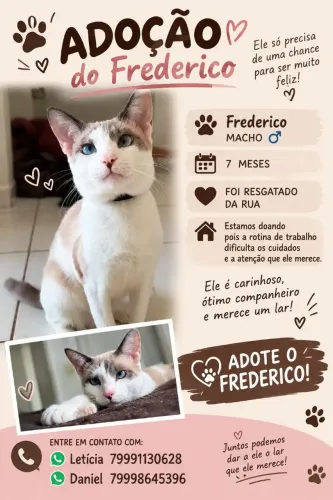 Adoção responsável
