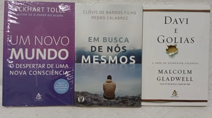 Em busca de Nós mesmo Davi e Golias Um novo mundo