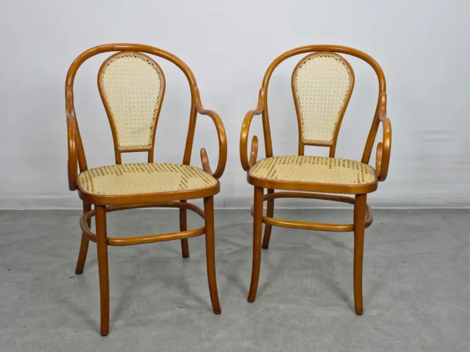 Par de cadeira com apoio de braço - michael thonet