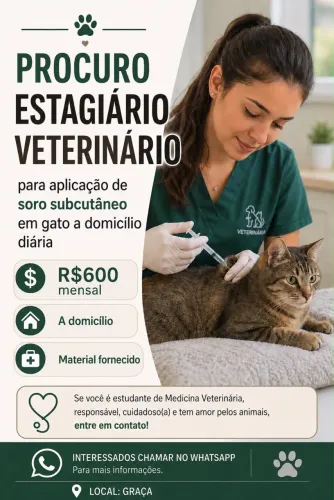 Procuro estagiário Veterinário aplicação de soro subcutâneo gato na graça R$600 mensal