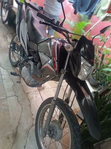 Bros 2014 flex