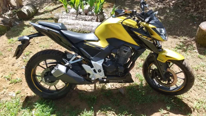 MOTO CB300F 2024 FLEX