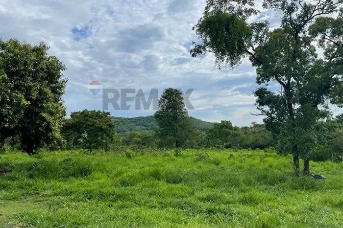 Fazenda a venda em Crixás: Tranquilidade e Conforto