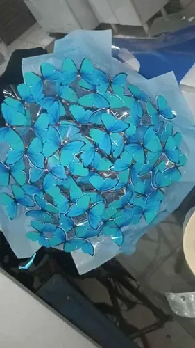 buquê de borboletas