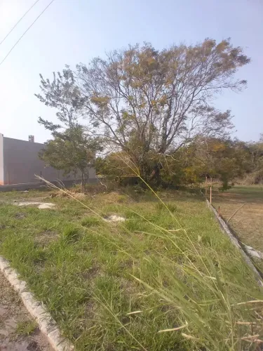 Terreno em.condomínio - Mar do Norte