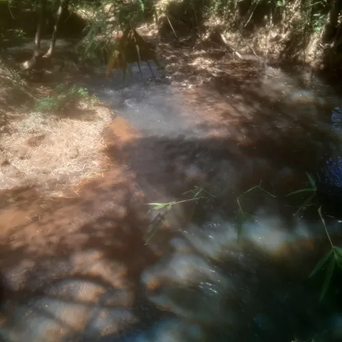 Terreno rural com água no fundo