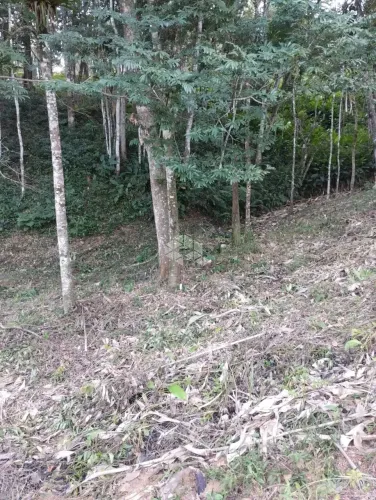 Terreno no bairro Forquilhas, em São José - SC
