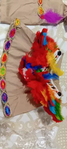 Fantasia india 