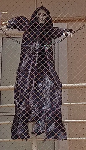 Caveira grande pendurar