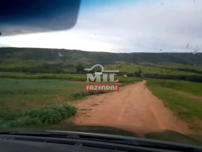 Fazenda 420 Alqueires (2.032 Hectares) Agua fria  - GO