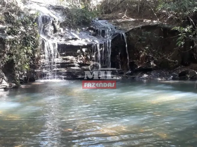 Fazenda 53,5 Alqueires (259 Hectares ) Uruaçu - GO