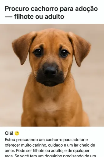 Doação de cachorro 