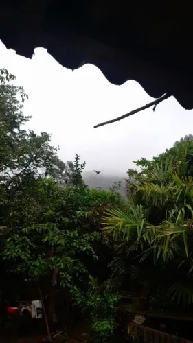 Faço limpeza de terreno. Corta arvore pintura de casa
