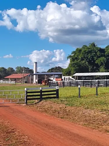 Fazendao no Goiás 
